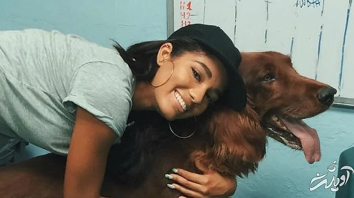 اخبار هنرمندان